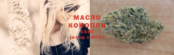 дмт Няндома
