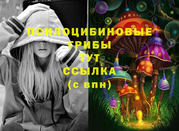 стаф Нязепетровск